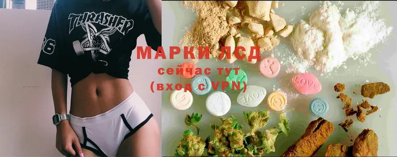 продажа наркотиков  Майкоп  ЛСД экстази ecstasy 